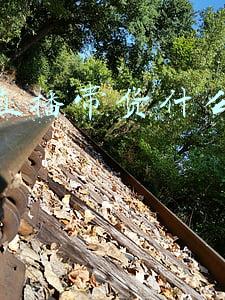 抖音直播带货哪个时间段播比较好(实例分析抖音直播带货三大属性)