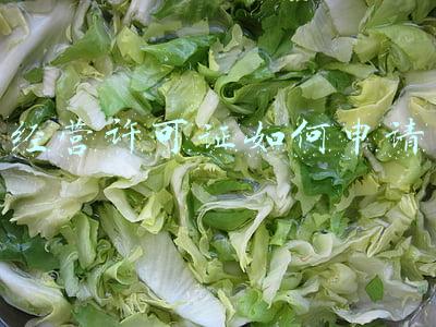 经营许可证怎么申请-网络经营许可证怎么申请