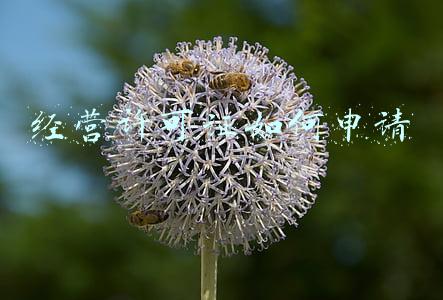 经营许可证如何申请