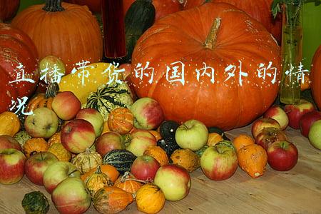 直播带货的国内外的情况