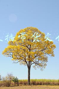 关于直播带货文化的书