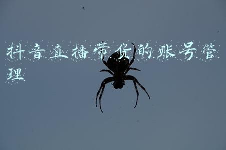 抖音直播带货的账号管理