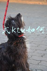 量贩式ktv公司简介_量贩式ktv管理公司