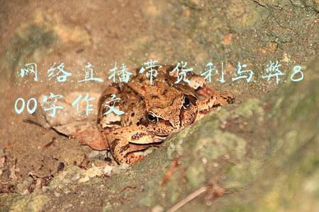 直播带货的利与弊作文(主播带货“翻车”具警示意义)