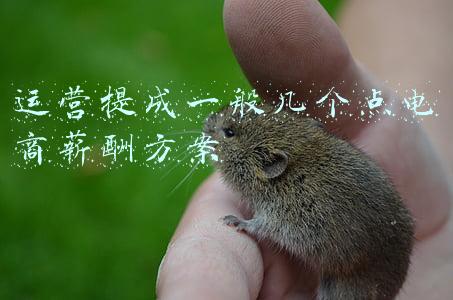 电商行业薪酬调查(2020年跨境电商薪酬调查报告)