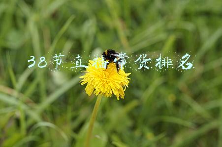 38节直播带货排名
