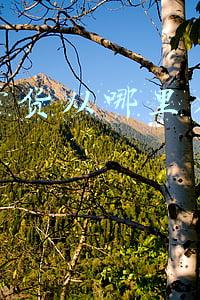 直播带货从哪里找资源(做直播带货供应链，主播如何对接到更多的MCN资源？)
