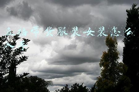 女装进货单图片(进货价200元/堆！服装网店被查，所谓“大牌”全是假的)