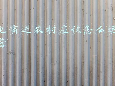 农村电商怎么做哪方面着手(农村电商的“临安模式”)