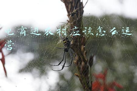 电商进农村应该怎么运营