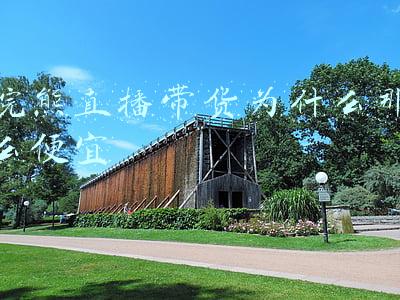 浣熊君直播间(王者荣耀：浣熊君直播生日赛跑，结果被关羽一刀斩于马下！)