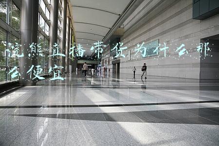 虎牙直播浣熊君直播间(陪玩“失格”：当未成年遇上“软色情”？)
