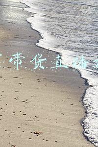 老罗带货直播数据