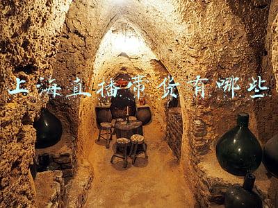 上海直播带货有哪些公司(中国直播带货网红薇娅和李佳琦背后的经纪公司打算上市)