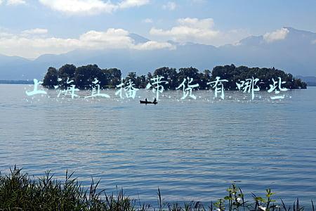 上海直播带货公司(上海多家互联网企业“大当家”轮番上线推销 直播带货或成“在线新经济”开门密钥)
