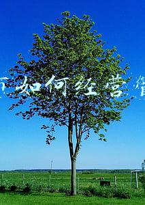 超市怎么经营生意好：超市如何经营管理才会生意兴隆