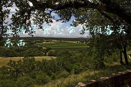 给顾客发错货怎么解释(怎样才能追回发错商家，好几千元呢？)