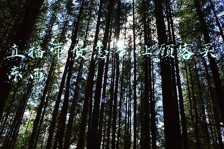 顾客收到货怎么回复(询盘回复的全面流程，外贸新手必看)