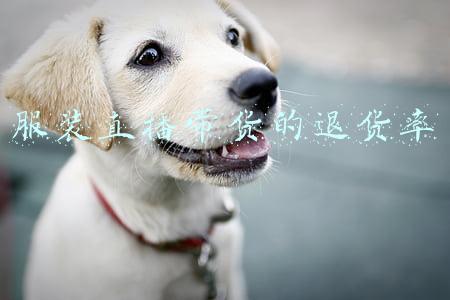 直播带货正常退货率(直播货品退货率85%，商家怀疑→)