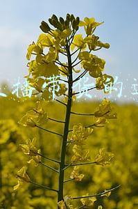 服装直播带货间(主播10秒换衣服 即墨墨云基地商家24小时直播带货)