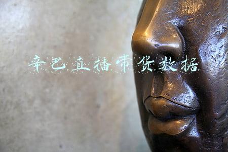 辛巴直播带货数据