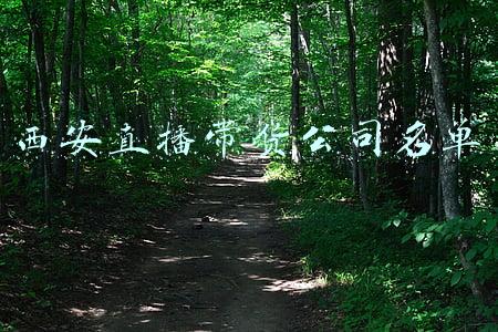 西安直播带货公司名单