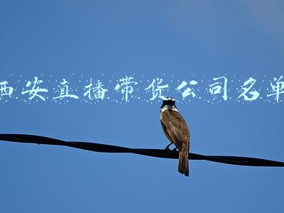 西安直播带货公司名单