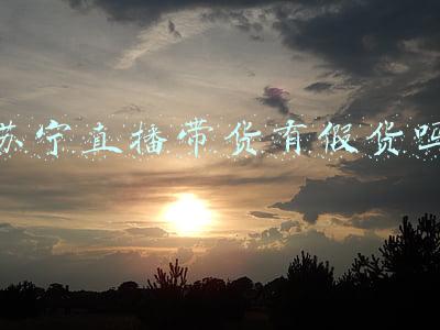 苏宁是不是卖假货(苏宁易购平台商家卖假货，消费者成功打赢“假一赔五”维权官司)