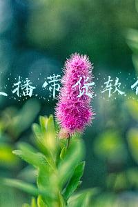 直播带货软件排名前十名(直播带货进入下半场？抖音快手拼多多，天猫淘宝到底该选谁？)
