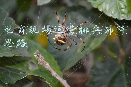 电商现场运营排兵布阵思路