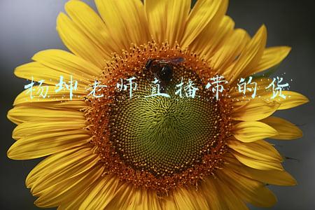 杨坤老师直播带的货