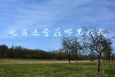 电商运营怎么找客户(企业怎么找客户？掌握方法很重要)