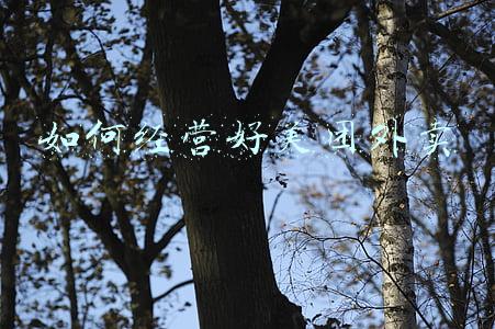 美团外卖经营理念-美团的经营理念