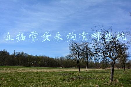 直播带货平台有哪些坑(话术多、流量假……直播带货还有哪些“猫腻”？)