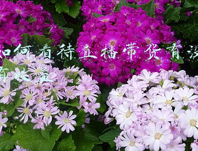 直播带货的成本与收益(怒了！企业花8万请千万主播带货只卖出6瓶护肤品：价值共计800元)