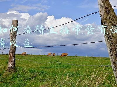如何看待直播带货即兴评述(直播带货频“翻车”警示了什么)