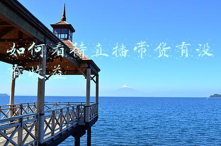 货拉拉收益如何(加入货拉拉，一个月到底能挣多少钱？能养家糊口吗？)