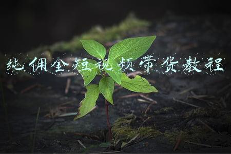 纯佣金短视频带货教程