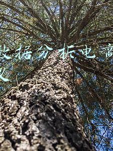 简述数据分析电商运营的意义