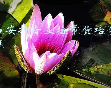 西安抖音直播带货培训班