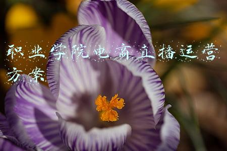 职业学院电商直播运营方案