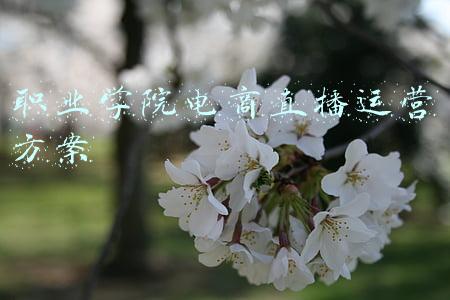电商运营职业规划(不愧是月薪2万的会计王姐，熬夜整理了20份工作计划Excel表，佩服)