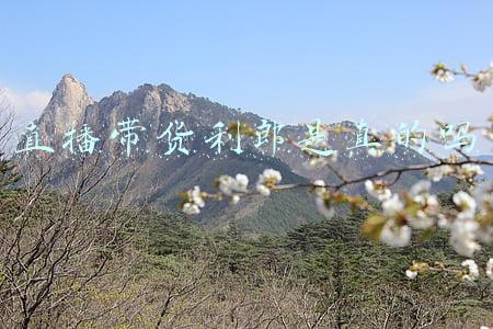 利郎男士皮衣(利郎业绩迅速复苏，但不是所有中国男装品牌都如此好运)