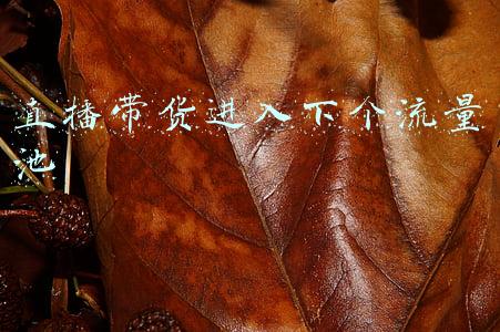 直播带货过程(直播带货流程)