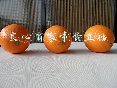 良心商家带货直播