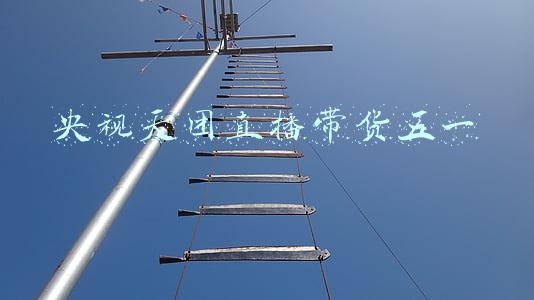 央视主持天团(央视春晚：主持天团大调整，美女马凡舒首次入围，撒贝宁重归春晚)