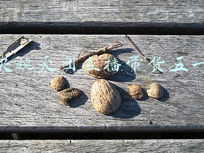央视天团综艺(央视百名主持天团同框！任鲁豫站C位，朱迅李思思抢眼不见董卿？)