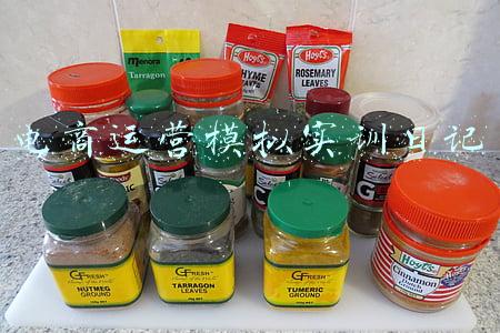 电商运营模拟实训日记