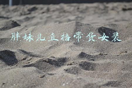陈胖胖直播带货(做物业出纳快一个月了，今天听主任说总公司的陈总过来要物业费)