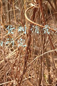 直播带货给消费者带来的影响(直播带货：狂欢背后 暗流涌动)